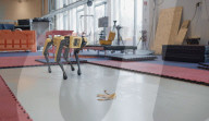 Robot dog gets a grip on opening doors autonomously.                    