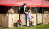 South of England Show 2023 at Ardingly, West Sussex, UK.