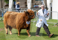 South of England Show 2023 at Ardingly, West Sussex, UK.