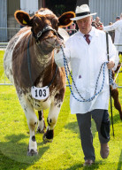 South of England Show 2023 at Ardingly, West Sussex, UK.