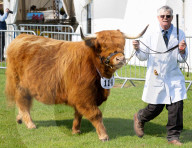 South of England Show 2023 at Ardingly, West Sussex, UK.