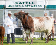 South of England Show 2023 at Ardingly, West Sussex, UK.