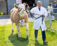 South of England Show 2023 at Ardingly, West Sussex, UK.
