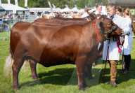 South of England Show 2023 at Ardingly, West Sussex, UK.