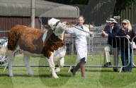 South of England Show 2023 at Ardingly, West Sussex, UK.
