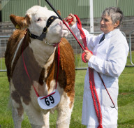 South of England Show 2023 at Ardingly, West Sussex, UK.