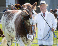 South of England Show 2023 at Ardingly, West Sussex, UK.