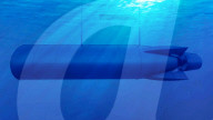 FEATURE - Japanisches Unternehmen stellt Plan fÃ¼r schwimmende Medizinstadt vor, die sich an den Klimawandel anpasst
