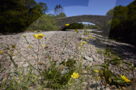 River in 'wettest place in England' in Lake District almost completely dry.