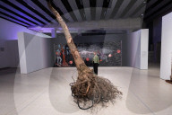 Dear Earth: Art and Hope in a Time of Crisis exhibition at the Hayward Gallery, Southbank, London, UK.