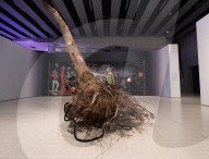 Dear Earth: Art and Hope in a Time of Crisis exhibition at the Hayward Gallery, Southbank, London, UK.