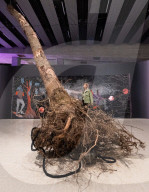 Dear Earth: Art and Hope in a Time of Crisis exhibition at the Hayward Gallery, Southbank, London, UK.