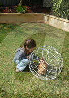 Chicken Orb prevents pet birds damaging gardens.                        