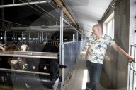 Farmers on frontline as Dutch divided by war on nitrogen pollution