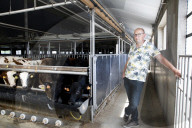 Farmers on frontline as Dutch divided by war on nitrogen pollution