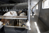 Farmers on frontline as Dutch divided by war on nitrogen pollution