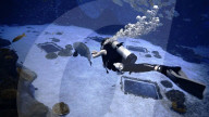 Hands-free underwater thrusters to propel scuba divers.                          