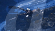 Hands-free underwater thrusters to propel scuba divers.                          