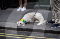 Pride in London parade, Park Lane to Trafalgar Square, London, UK.