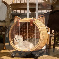 Cat trolley puts puss on wheels.                       