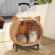 Cat trolley puts puss on wheels.                       