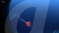 Oceangate boss reportedly  told of "loud bang" on TItan submersible.                            