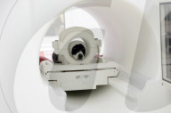 MRI scans show dog brains regard humans just like their own species.             