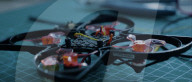 AI drones zap flying pets in industrial greenhouses.                      