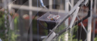 AI drones zap flying pets in industrial greenhouses.                      