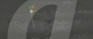 AI drones zap flying pets in industrial greenhouses.                      