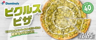 Pickle Pizza