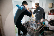 Pup patrol: saving lives at a seal sanctuary on Cornwall's coast