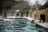 Pup patrol: saving lives at a seal sanctuary on Cornwall's coast