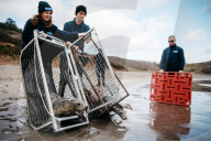 Pup patrol: saving lives at a seal sanctuary on Cornwall's coast