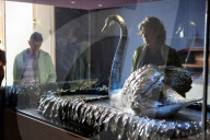 Barnard Castle toasts its famous silver swan as museum seeks money for repair