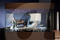 Barnard Castle toasts its famous silver swan as museum seeks money for repair
