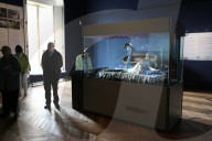 Barnard Castle toasts its famous silver swan as museum seeks money for repair