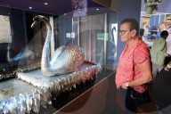 Barnard Castle toasts its famous silver swan as museum seeks money for repair