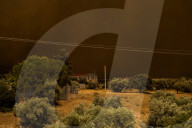 NEWS - Waldbrände in Griechenland