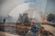 NEWS - Waldbrände in Griechenland