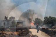 NEWS - Waldbrände in Griechenland