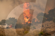 NEWS -  Waldbrand in Nea Zoi in der Nähe von Megara, Griechenland