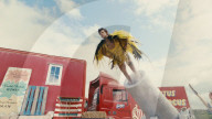 Harry Styles has a blast in new music video