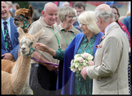 The King and Queen visit Brecon in Wales
