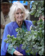 The King and Queen visit Brecon in Wales