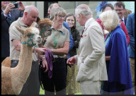 The King and Queen visit Brecon in Wales