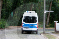 Löwin in Berlin/Brandenburg entlaufen