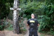 Löwin in Berlin/Brandenburg entlaufen