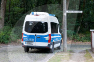 Löwin in Berlin/Brandenburg entlaufen
