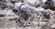 Robot dog is an acrobatic pet.                          